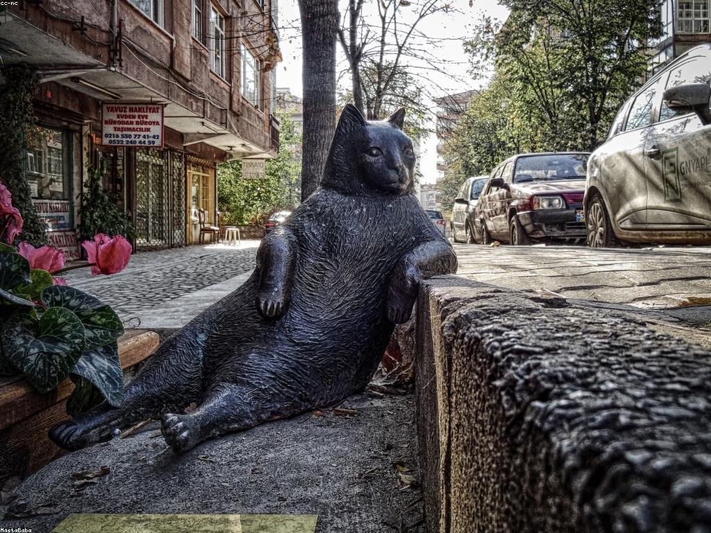 ពត៌មានថ្មីៗ និងអត្ថប្រយោជន៍សម្រាប់សង្គម