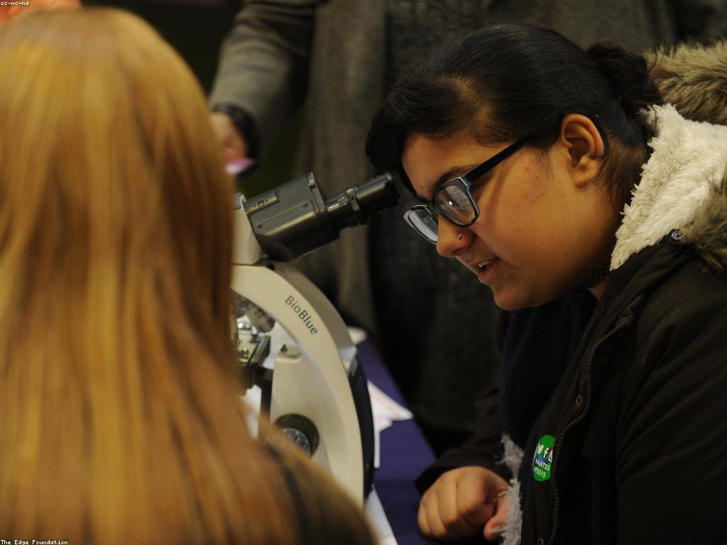 យុទ្ធសាស្ត្រនៃការលេង: របៀបជួបប្រទៈនឹងការលេងដូចជាអ្នកវិជ្ជាជីវៈ