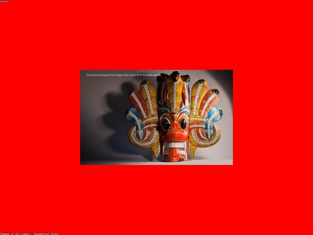 ការយល់ដឹងអំពីវប្បធម៌នាគ