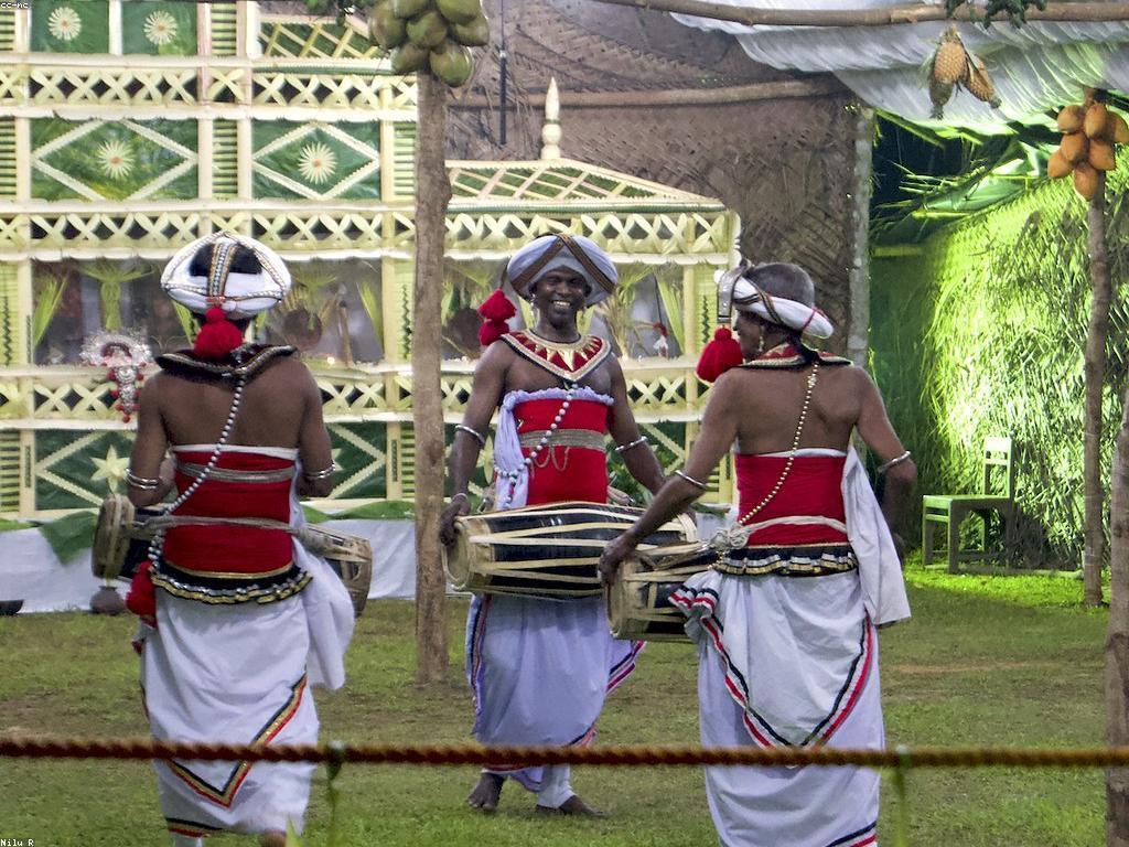 ការយល់ដឹងអំពីនាគ